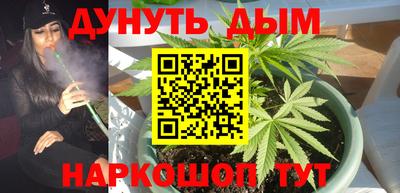 молекула духа Краснодар
