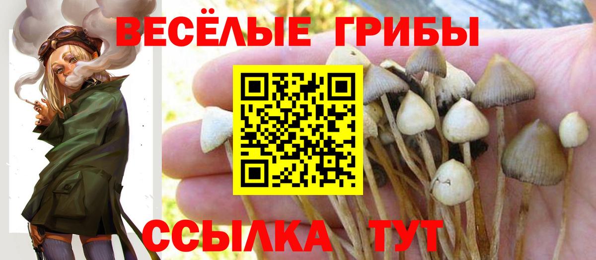 Псилоцибиновые грибы Magic Shrooms Ковров